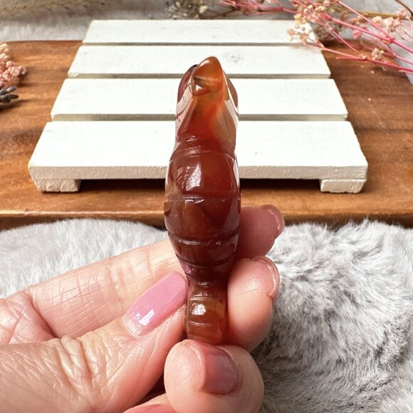 Gorgeous Small Carnelian Seahorse Carving - Picture 3 of 6